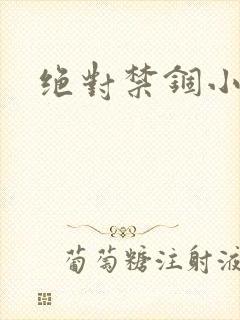 绝对禁锢小说