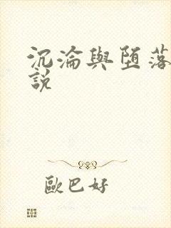 沉沦与堕落的小说