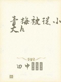 青梅被从小摸到大h封面