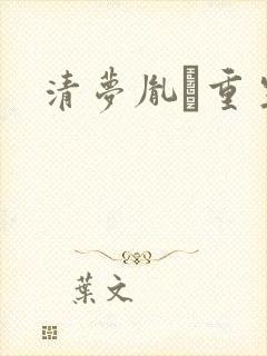清梦胤礽重生封面