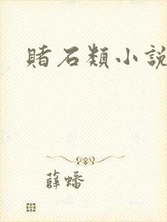 赌石类小说