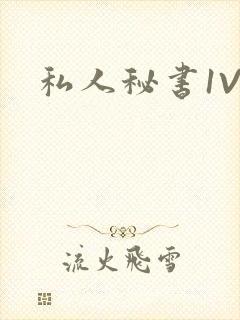 私人秘书1V1