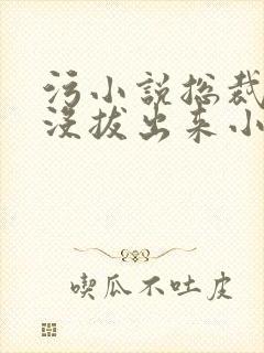 污小说总裁整夜没拔出来小说在线阅读
