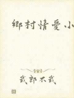 乡村情爱小说