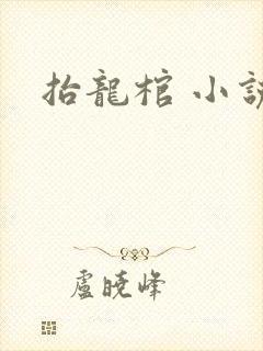 抬龙棺 小说封面