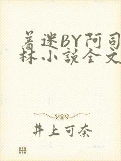 着迷BY阿司匹林小说全文免费阅读
