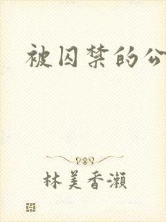 被囚禁的公主
