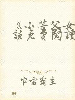 《小芳父女》小说免费阅读