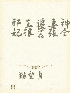 邪王追妻神医狂妃很嚣张全文免费封面