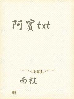 阿宾txt