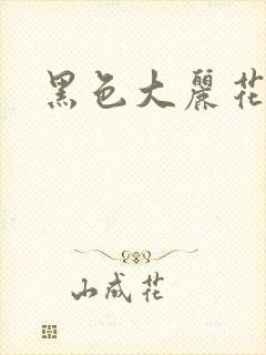 黑色大丽花图片