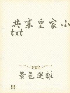 共享皇家小公主txt