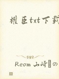 权臣txt下载封面