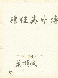 穆桂英外传