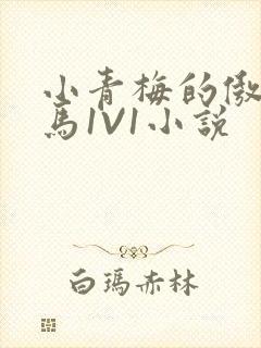 小青梅的傲娇竹马1V1小说封面