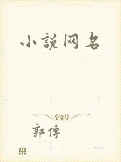小说网名