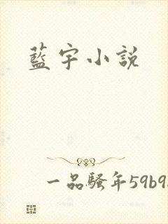 蓝宇小说封面