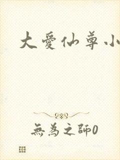 大爱仙尊小说