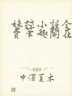 妹控小说全文免费笔趣阁在线阅读