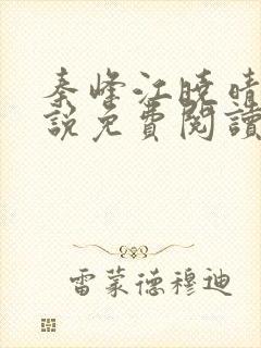 秦峰江晓晴的小说免费阅读封面