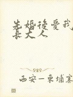 先婚后爱我的市长大人
