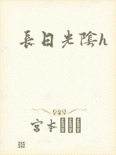 长日光阴h
