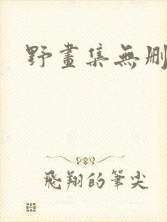 野画集无删减