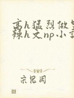 高h猛烈做哭高辣h文np小说