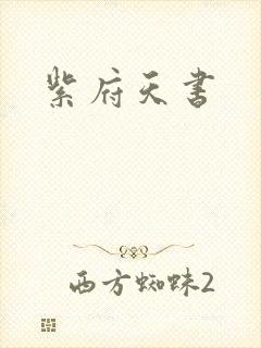 紫府天书