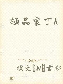极品家丁h
