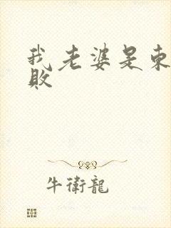 我老婆是东方不败