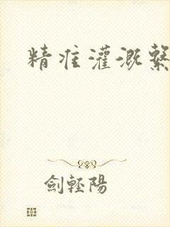 精准灌溉系统