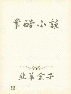 掌酷小说封面