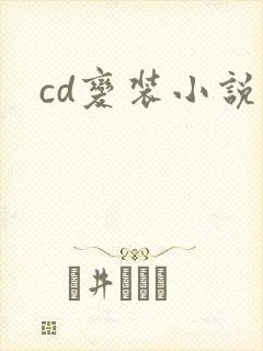 cd变装小说