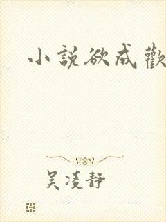小说欲成欢
