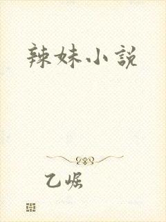辣妹小说