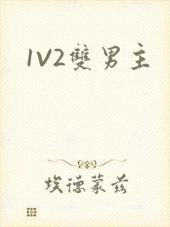 1V2双男主封面