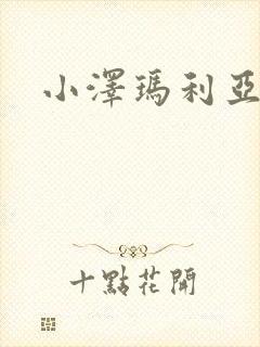 小泽玛利亚作品封面