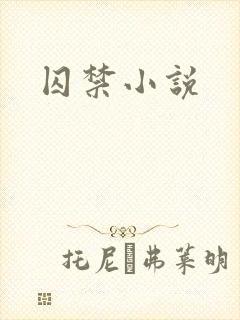 囚禁小说封面
