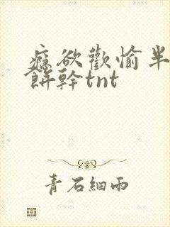 瘾欲欢愉半块小饼干tnt封面