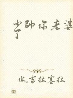少帅你老婆又跑了