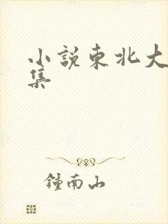 小说东北大炕全集