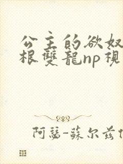 公主的欲奴h四根双龙np视频