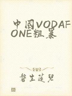 中国VODAFONE粗暴