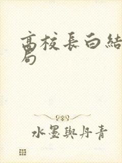 高校长白结大结局