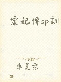 宸妃传sp训诫