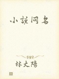小说网名