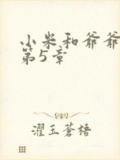 小米和爷爷系列第5章封面