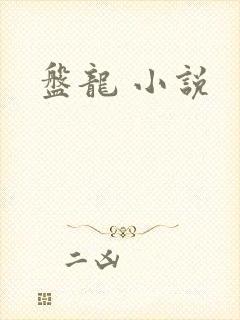 盘龙 小说