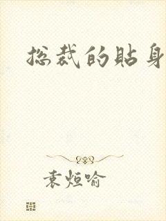 总裁的贴身女佣